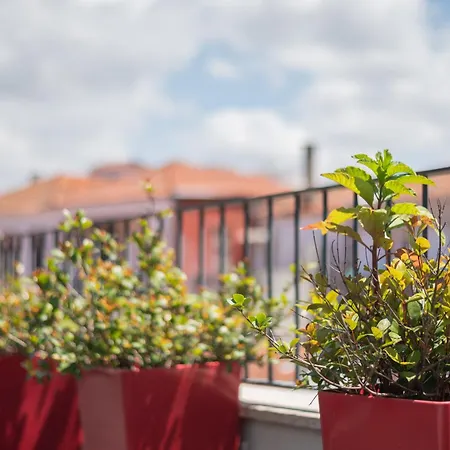 Apartment So Trendy Porto